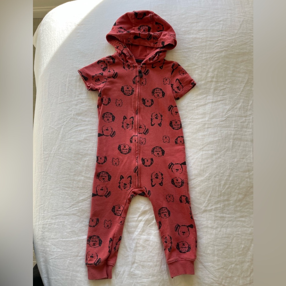 EUC Hooded Jumper - Carter’s 24m